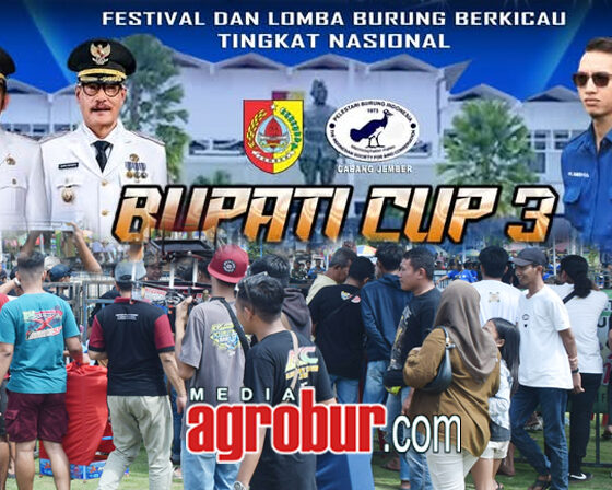 Daftar Juara Bupati Cup 3 Jember