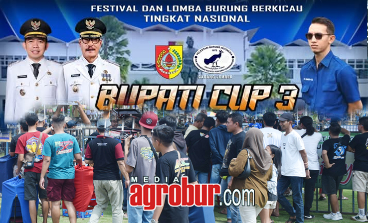 Daftar Juara Bupati Cup 3 Jember