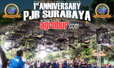 First Anniversary PJB Surabaya