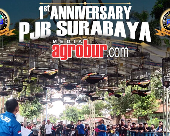 First Anniversary PJB Surabaya