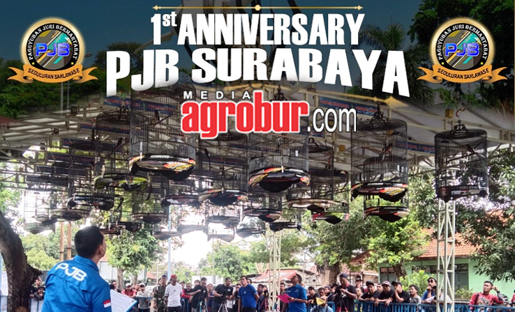First Anniversary PJB Surabaya