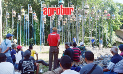 Ladinil Jatirogo Bisa Jember