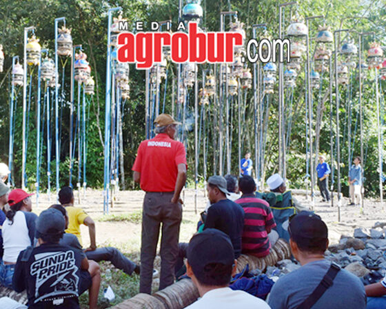Ladinil Jatirogo Bisa Jember