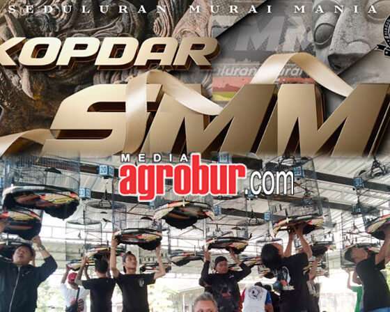 Kopdar SMM Mojokerto