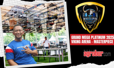 Grand Mega Platinum Viking