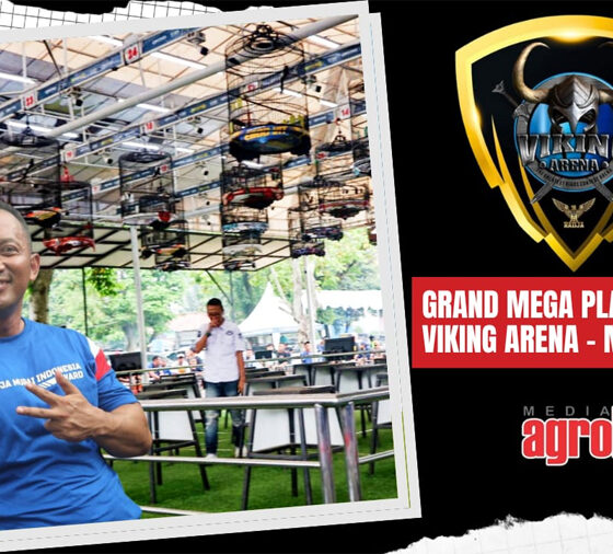 Grand Mega Platinum Viking