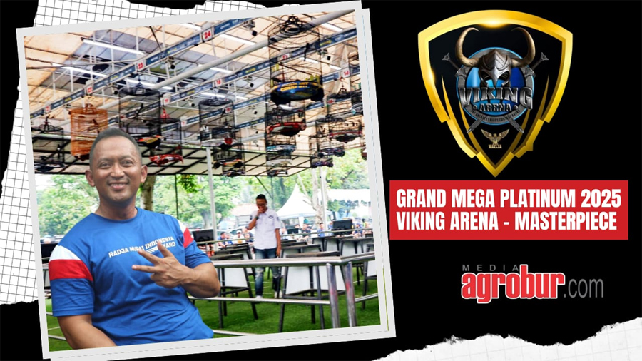 Grand Mega Platinum Viking