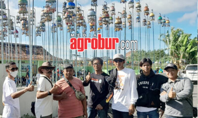 Halal Bihalal Cup 2 Banyuwangi