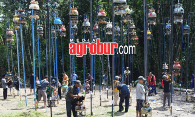 Ladinil Jatirogo Bisa Jember