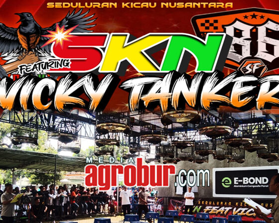 Featuring SKN feat Vicky Tanker