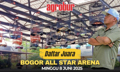 Bagor All Star