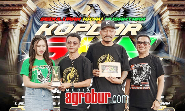 Jensina Team