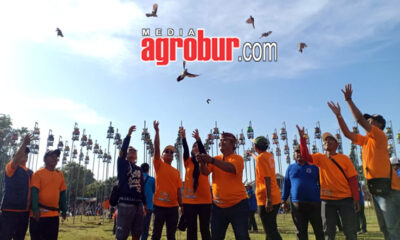 Kades Cup 3 Mangaran Situbondo