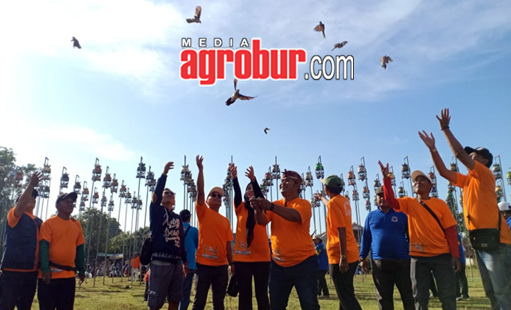 Kades Cup 3 Mangaran Situbondo