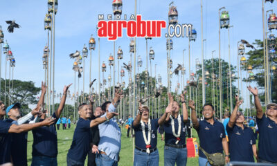 Piala Djos Jember 2025