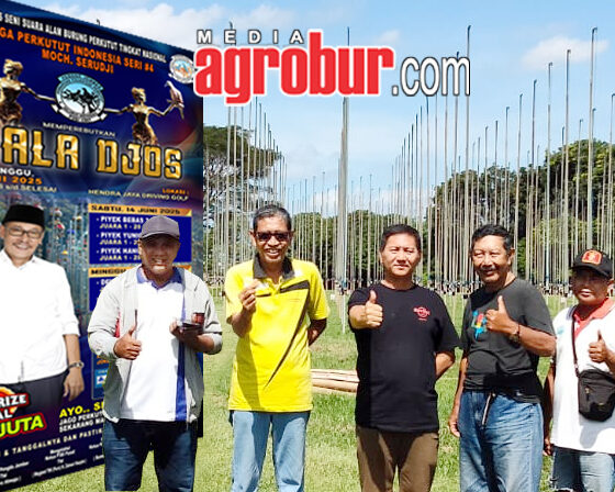 Piala Djos Jember 2025