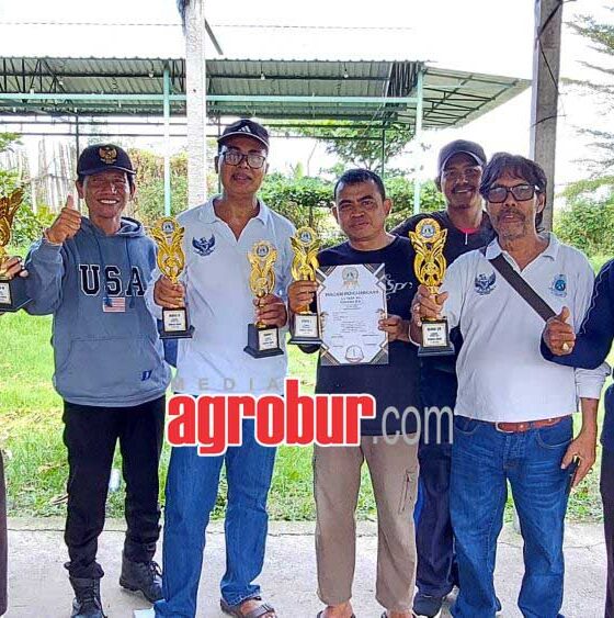 juara