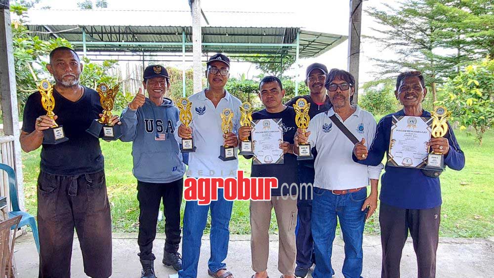 juara
