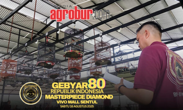 Gebyar 80