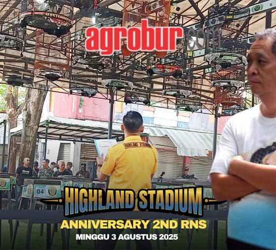 Anniversary 2nd RNS-HLS