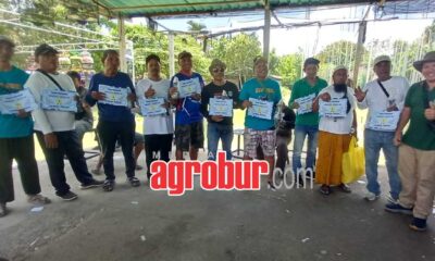 juara