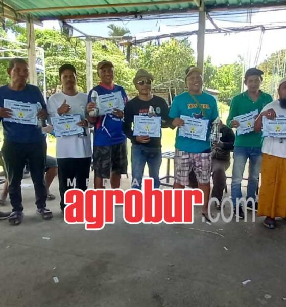 juara