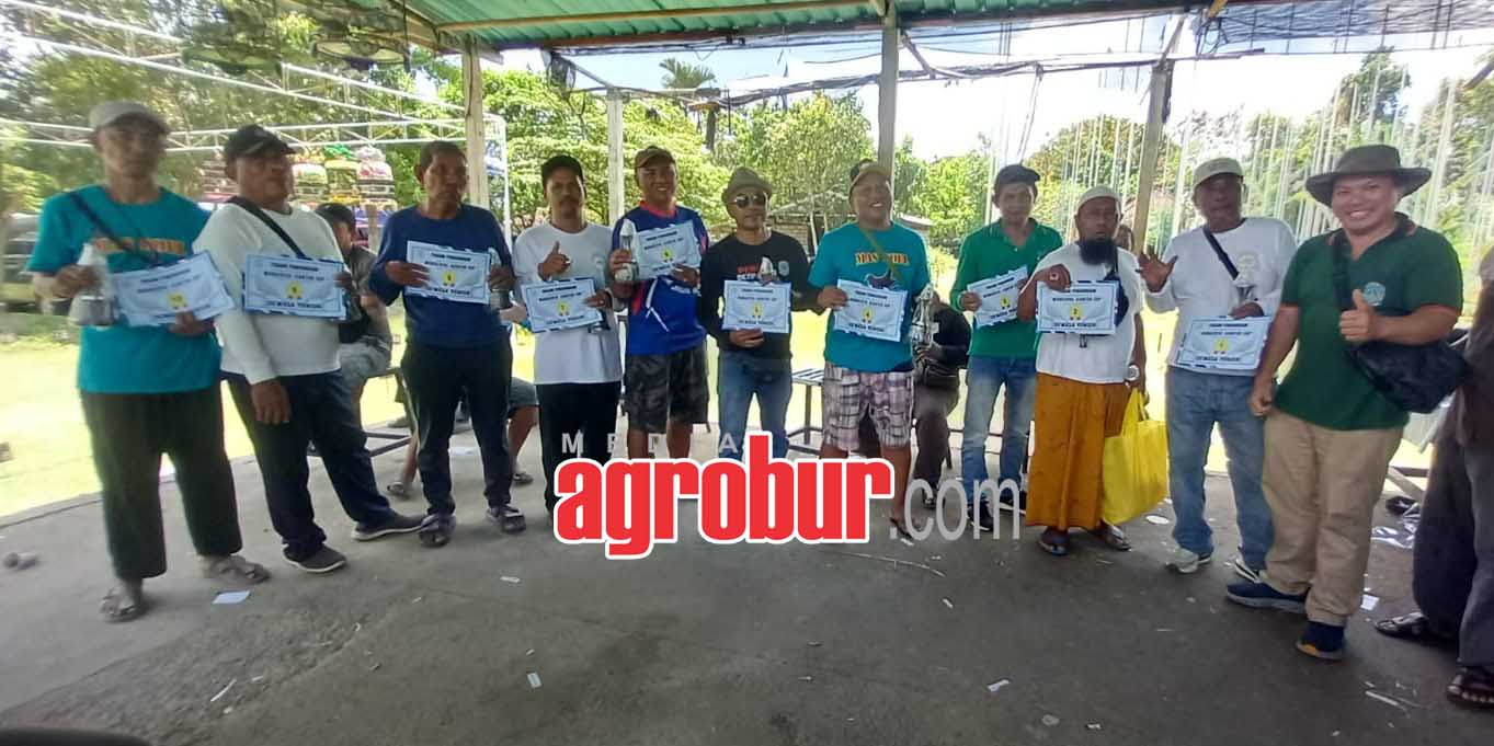 juara