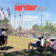 Liga Perkutut Jember