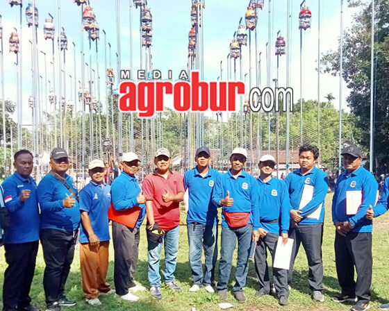 Liga Perkutut Jember