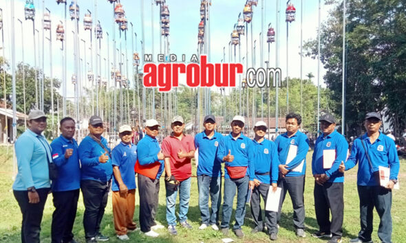 Liga Perkutut Jember