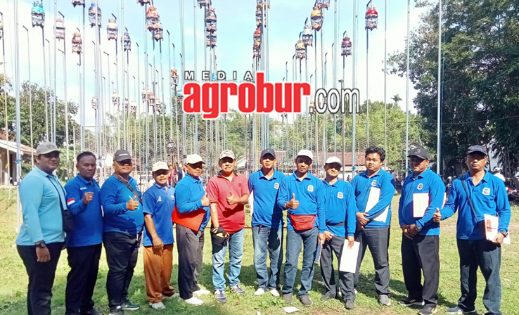 Liga Perkutut Jember