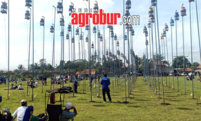 Sumberbaru Cup Jember