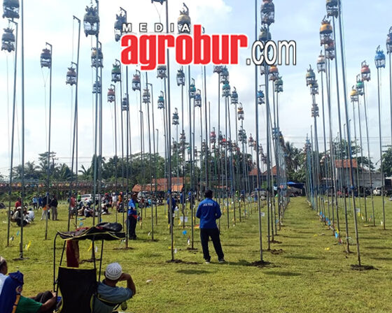 Sumberbaru Cup Jember