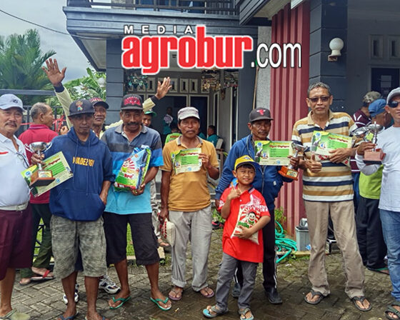 Liga Perkutut Jember