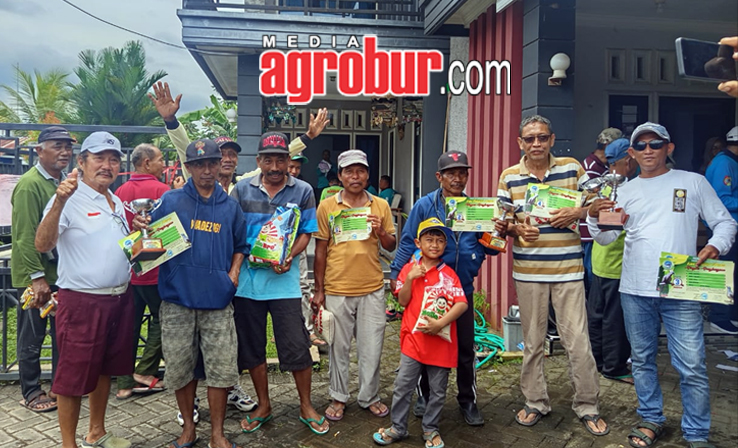 Liga Perkutut Jember